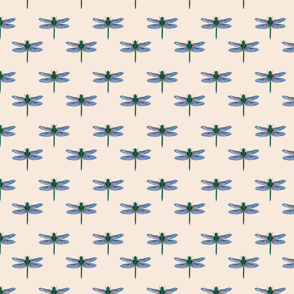 Dragonfly Prep Wallpaper