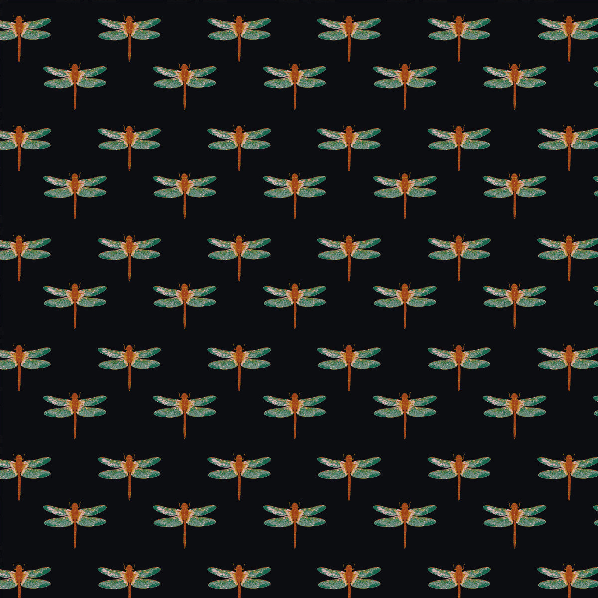 Dragonfly Charcoal Wallpaper